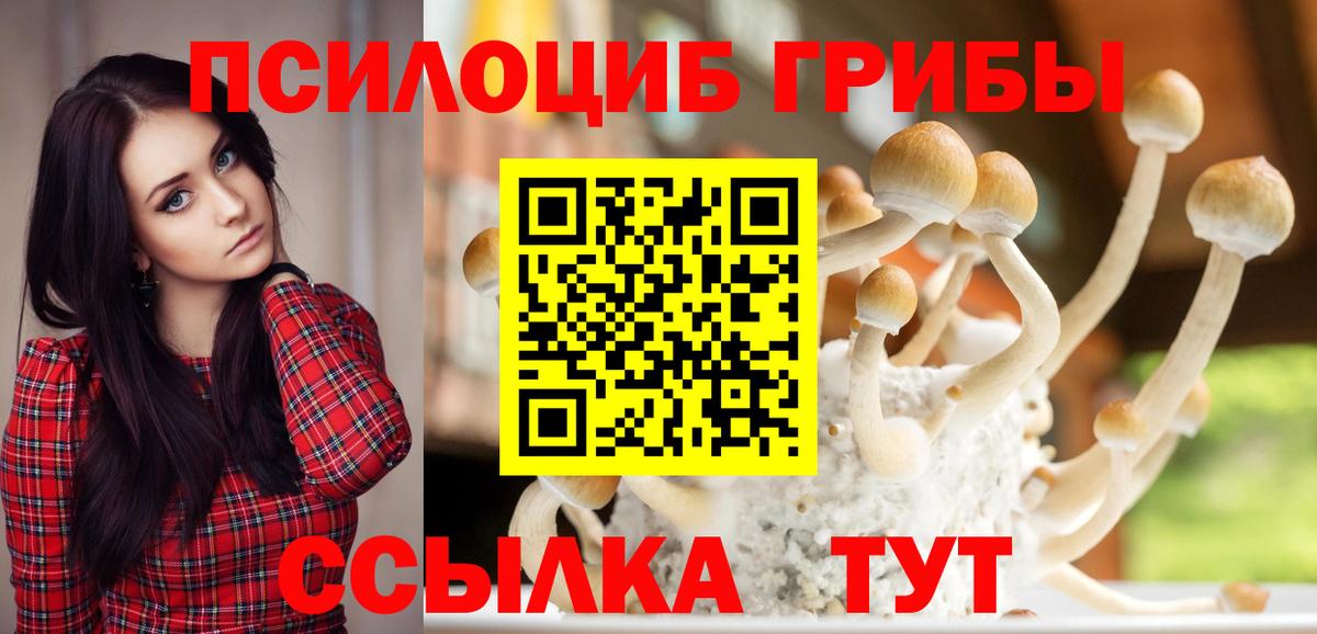 Галлюциногенные грибы Magic Shrooms Рыбинск